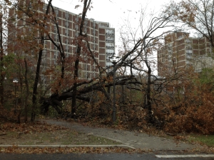 Screen Shot 2014-12-14 at 9.10.22 PM